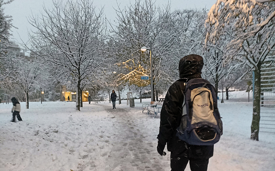 Spaziergang Ein Spaziergang im verschneiten Park