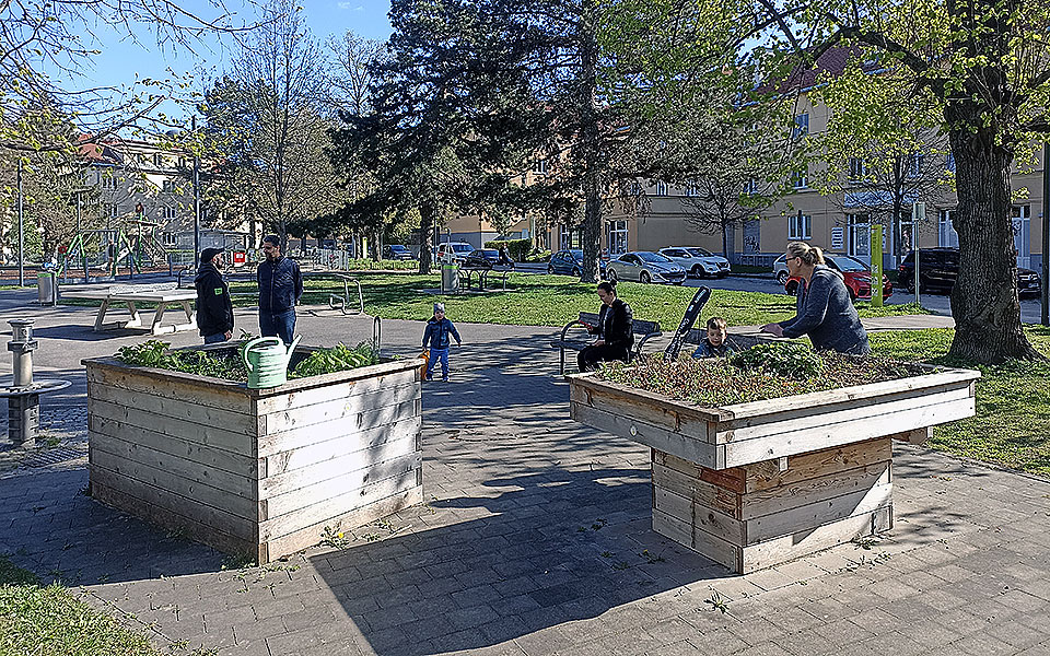 Gemeinschaftshochbeete im Carsonypark